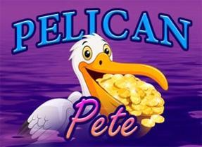 Pelican-Pete